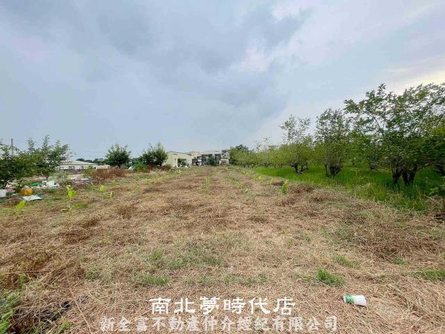 六甲農地-1