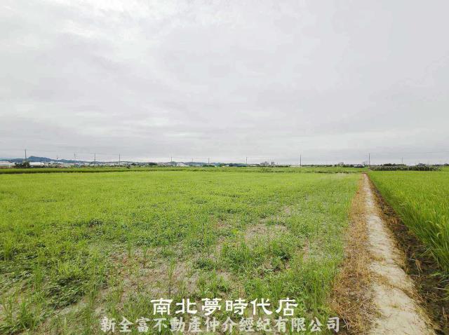 柳營農地-4
