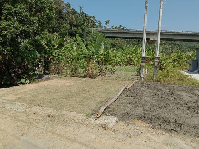 中寮農地-12