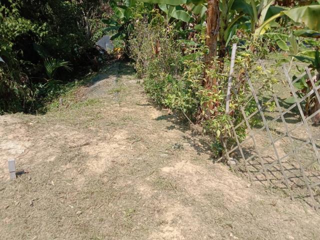 中寮農地-15