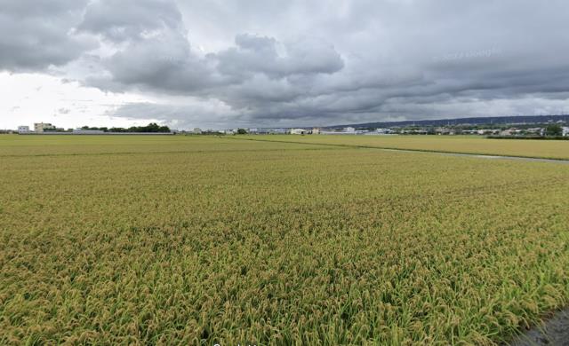 台中龍井農地-2