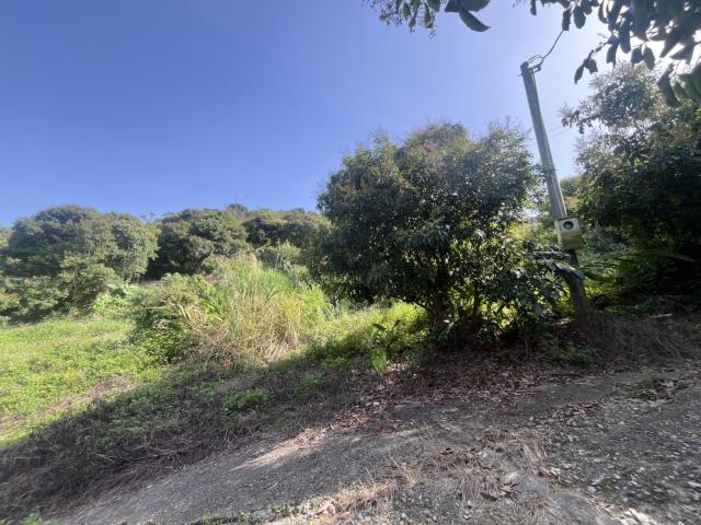 台中太平農地-6