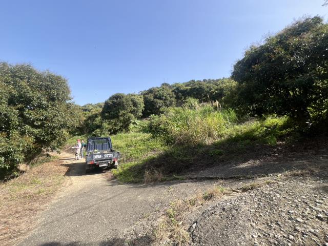 台中太平農地-7