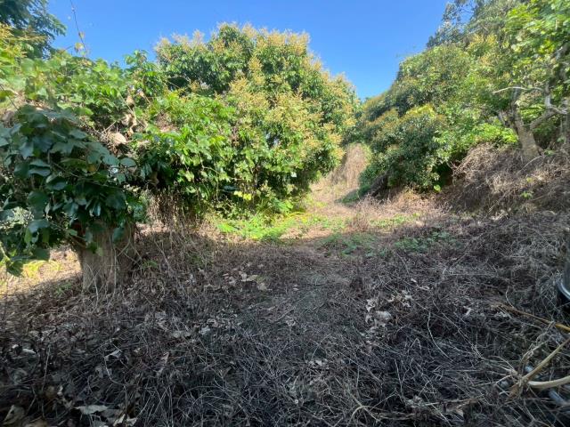 台中太平農地-10