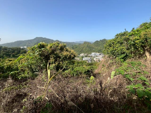 台中太平農地-6