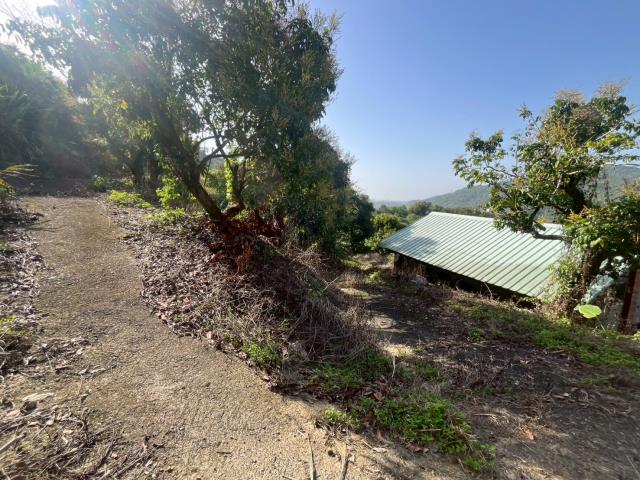 台中太平農地-7