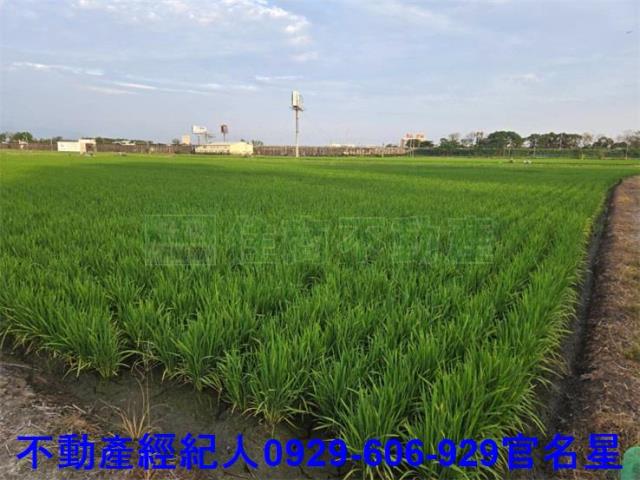 嘉義西區農地-4