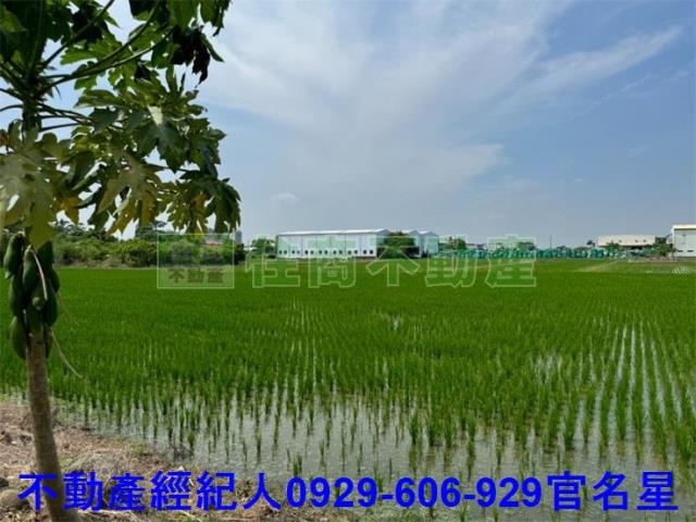 嘉義東區農地-7