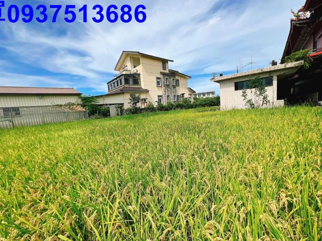 宜蘭壯圍農地-3