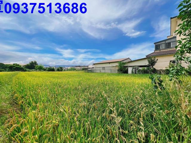 宜蘭壯圍農地-8