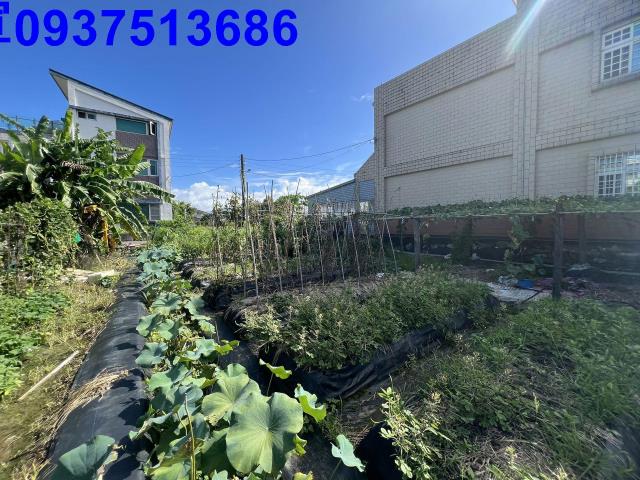 宜蘭宜蘭市農地-4