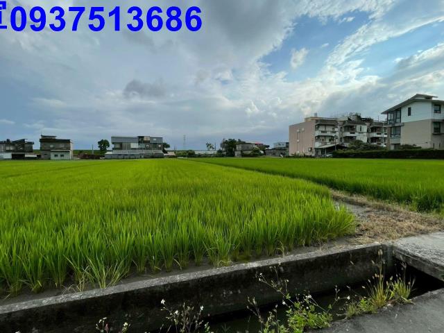 宜蘭宜蘭市農地-11