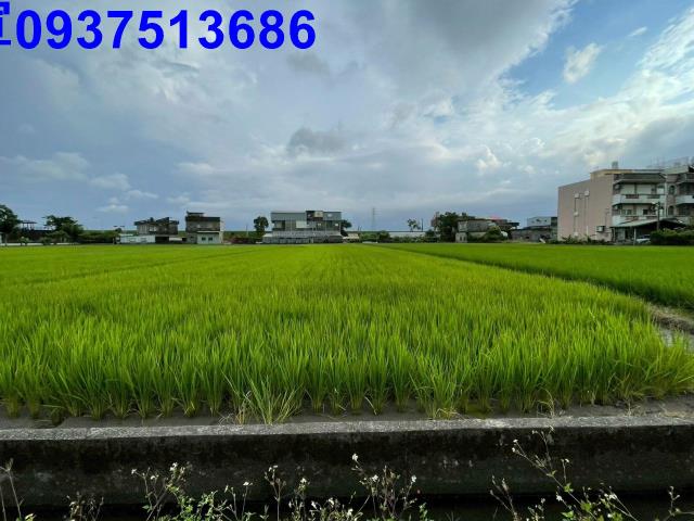 宜蘭宜蘭市農地-14