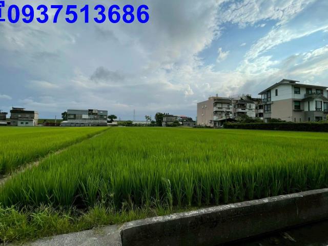 宜蘭宜蘭市農地-3