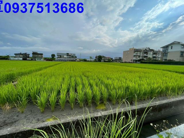 宜蘭宜蘭市農地-6