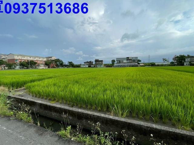 宜蘭宜蘭市農地-9