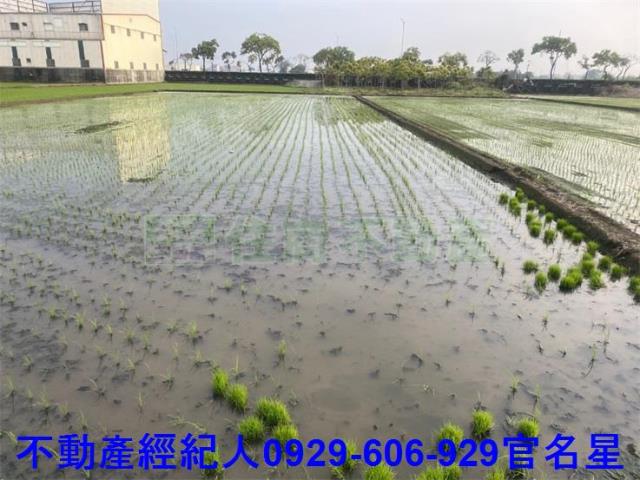 嘉義西區農地-3