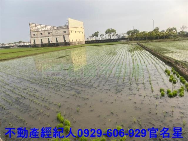 嘉義西區農地-6