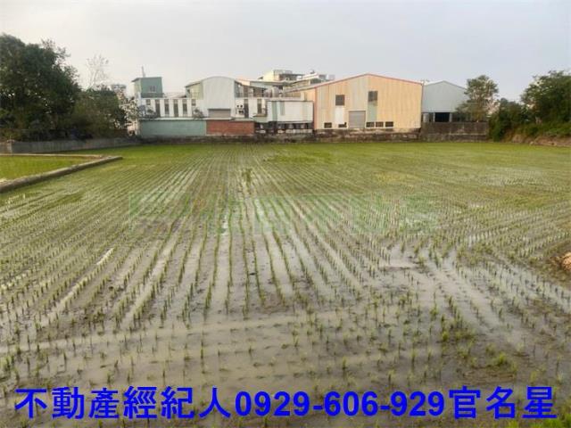 嘉義西區農地-3