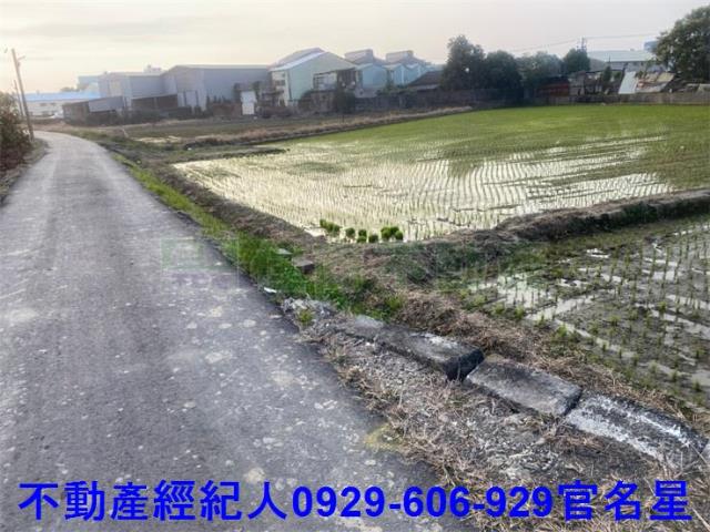 嘉義西區農地-5