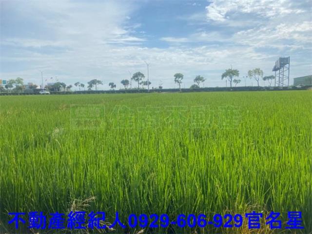 嘉義西區農地-5