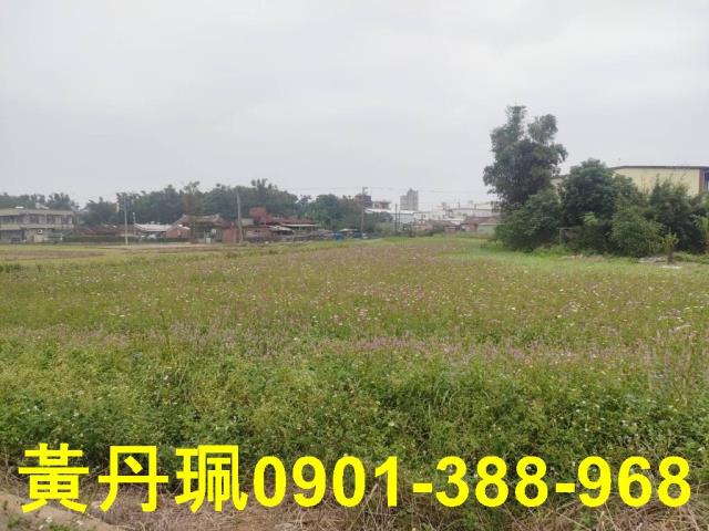 平鎮農地-3
