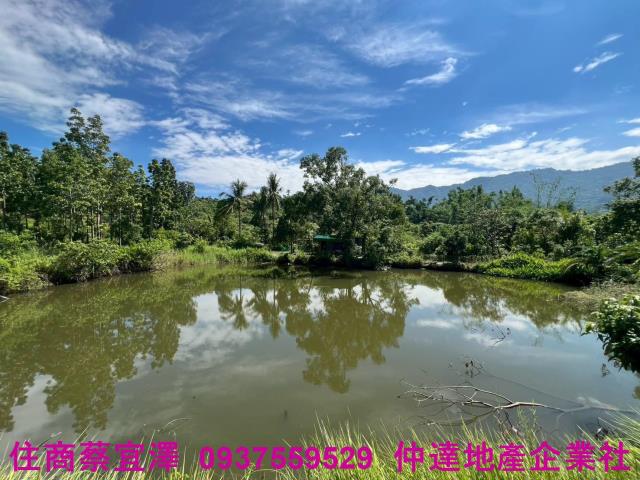 台南南化山坡地-10