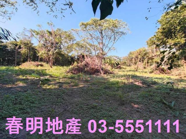 新竹關西農地-8