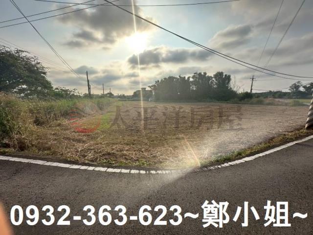 桃園大園農地-8