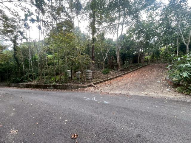 南投鹿谷農地-8