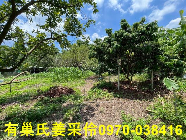 嘉義東區農地-4