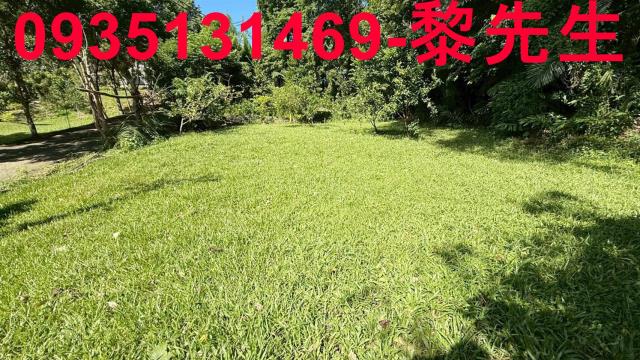 新竹關西農地-8