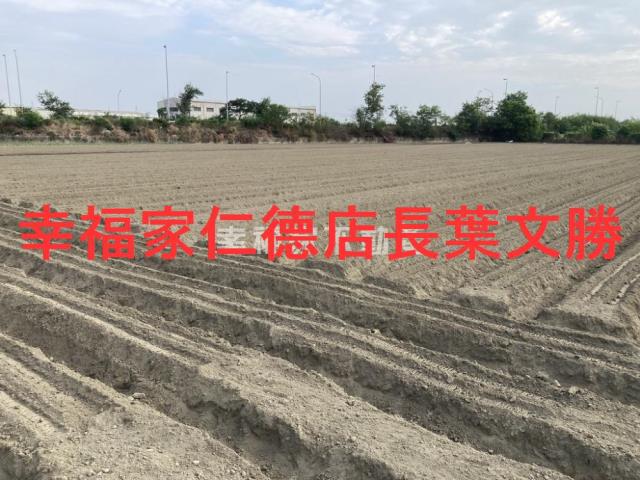 台南農地-4