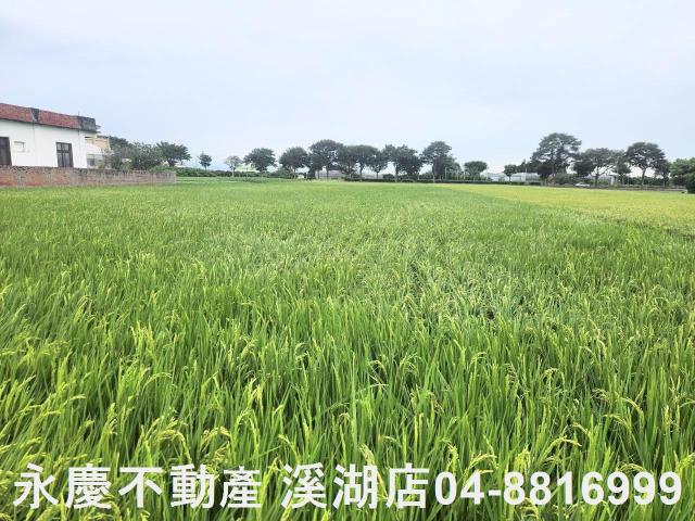 彰化埤頭農地-3