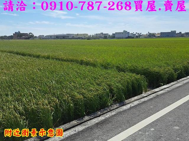彰化秀水農地-12