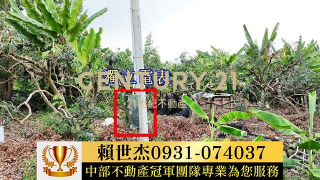 南投草屯農地-8