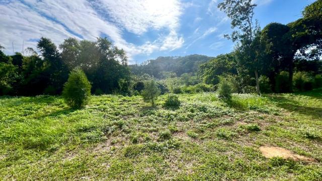 新竹竹東農地-4