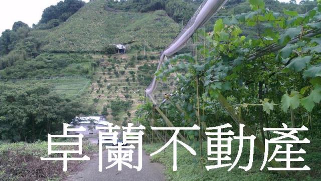 苗栗卓蘭農地-4