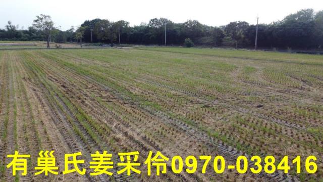 嘉義大林農地-12