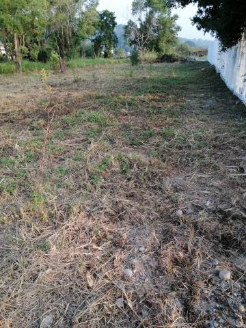 台中東勢農地-3