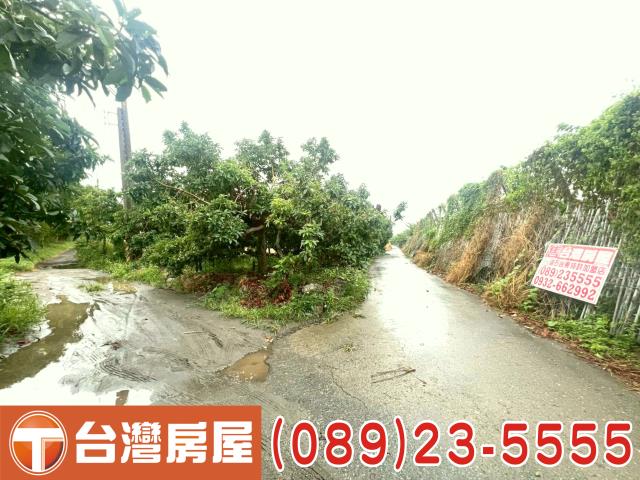 台東台東市農地-4