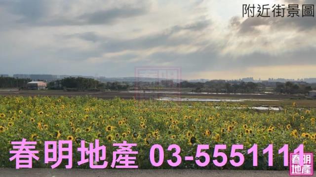 新竹竹北農地-12