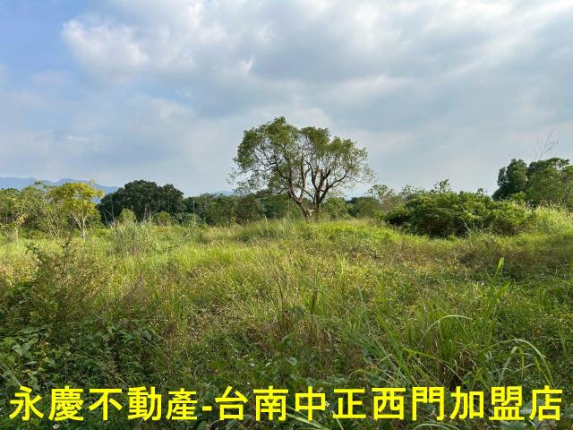 台南楠西農地-4