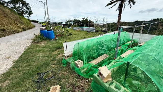 新竹寶山農地-1