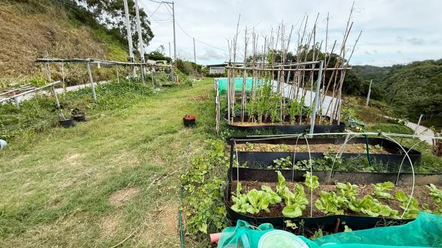 新竹寶山農地-2