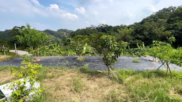 新竹寶山農地-6