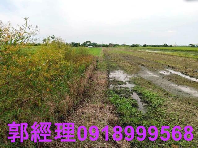 後壁農地-3