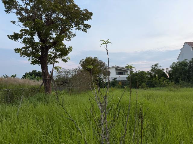 台南關廟農地-13