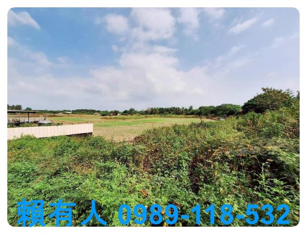 台南農地-4