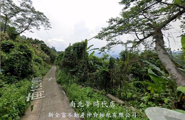 台南楠西山坡地-4